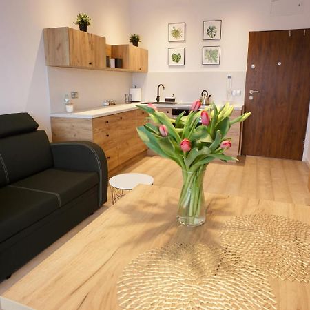 Apartament Na Piernikowym Z Miejscem Postojowym Torun Bagian luar foto